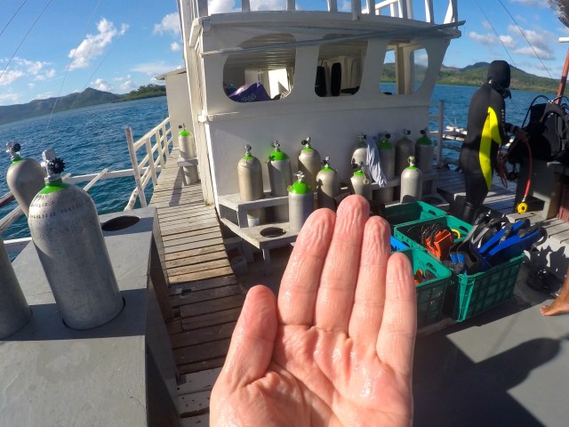 DCIM100GOPROGOPR0349.