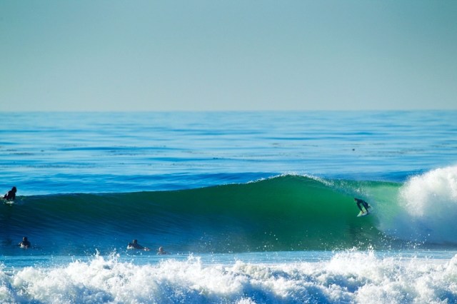 San Diego Surf Cardiff