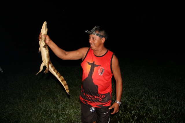 Brasilien_Titan_Kayman